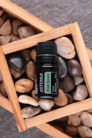 Schwarzfichtenöl - doTERRA Black Spruce