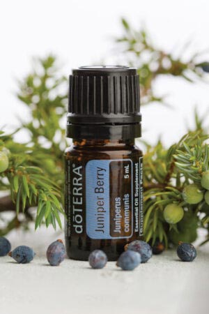 Wacholderbeerenöl - doTERRA Juniper Berry