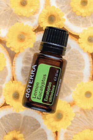 Zitroneneukalyptusöl - doTERRA Lemon Eucalyptus